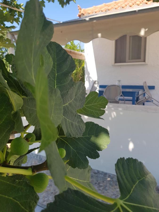 Eleni B&B Limani Kapis Zewnętrze zdjęcie