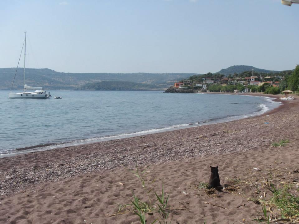 Eleni B&B Limani Kapis Zewnętrze zdjęcie